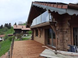 Chalet Les Bouvreuils La Bresse Haute Vosges，位于拉布雷斯的酒店