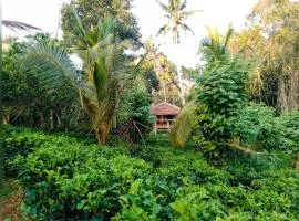 Tea Heaven - Glory