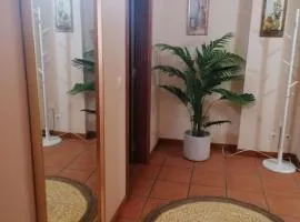 Praia de Mira - Apartamento T2