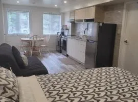 Modern studio with kitchenette and bath