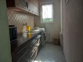 Holiday home in Balatonlelle 51271