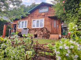 Lazy River Hut，位于Horní Mokropsy的酒店