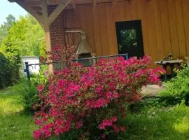 Waldbadhäusel Naturbad-Bungalow