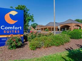 Comfort Suites Chesapeake - Norfolk，位于切萨皮克的酒店