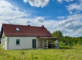Domek Stara Kuźnia LUX，位于Budy的酒店