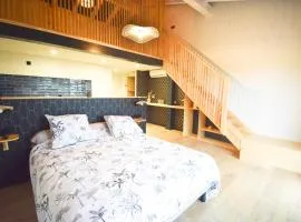 Magnifique duplex vue montagnes LARUN