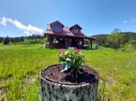 Brvnara Rajkova koliba - STD Bojovići Zlatar，位于新瓦罗什的木屋