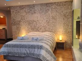 Exklusive moderne 2 Zi. Wohnung in ruhiger Lage，位于Schechingen的酒店