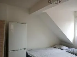 Rex gaf