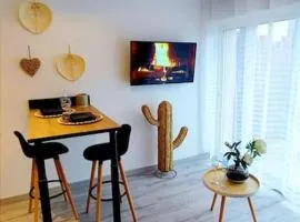 appartement cosy, détente avec terrasse