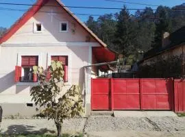 La Ţară Casa Angelica