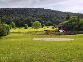 Villa Noiram - Your dream Getaway in Nature