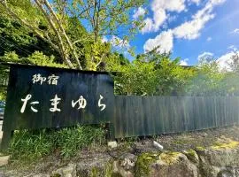 Oyado Tamayura 18 years or older