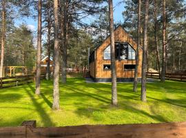 Dom Stodoła Borsk，位于博尔斯克的酒店