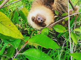 Somos Zapatón Catarata ELREY，位于Santiago的酒店