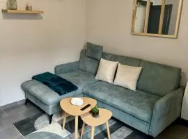 APPARTEMENT COSY Auxerre