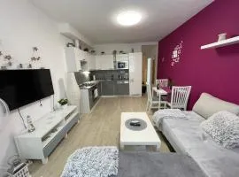 útulný byt 2kk * homely flat 2kk