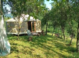 Romantic yurt in Apuseni mountains，位于Grohoţele的酒店