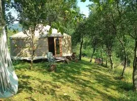 Romantic yurt in Apuseni mountains