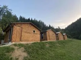 Bujtina Selimaj