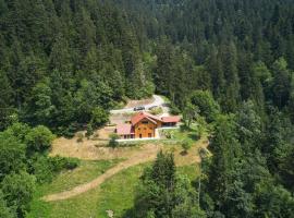 Vista Larix Chalet，位于Ljubno的海滩酒店