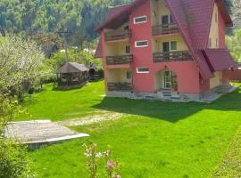 Pensiunea BUJOR DE MUNTE