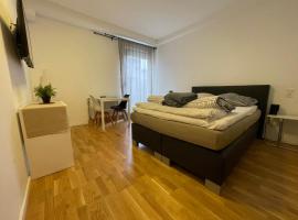 Simplex Apartments Am Ludwigsplatz，位于卡尔斯鲁厄的酒店