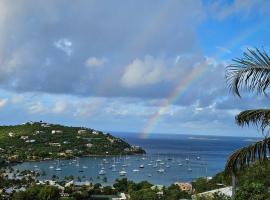 IMMACULATE OCEAN VIEWS Above the Westin Resort - Large Deck，位于Cruz Bay的度假村