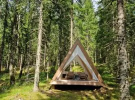Happie Camp - Ängasjö