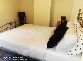 One bedroom apartment in Horsham city centre，位于霍舍姆的酒店