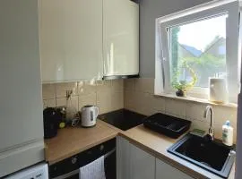 Apartament na Frezjowej