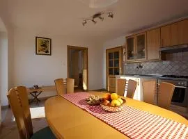 Holiday home in Otocec - Kranjska (Krain) 26040