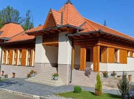 Villa Bellini Borszék