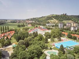 Thermal Resort Hotel Lendava，位于伦达瓦的带按摩浴缸的酒店