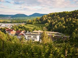 Steigenberger Hotel & Spa Krems，位于多瑙河畔克雷姆斯的酒店