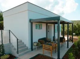 Mimo's Robinson House