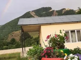 Restaurant & Hotel