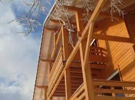 Chalet LIPA situé à la Bresse, à 5 mn de Gérardmer