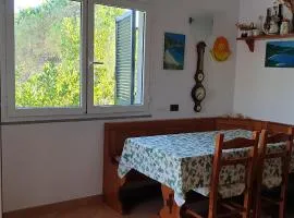 Bright apartment in Lacona with private garden 50 m²