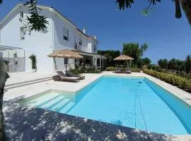 Tenuta viale degli ulivi