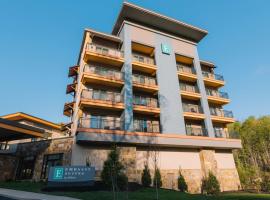 Embassy Suites By Hilton Gatlinburg Resort，位于加特林堡的酒店
