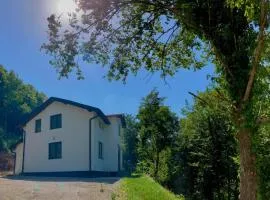 Lesnik vacation home