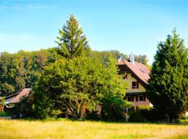 Nisihof, Abendblick，位于Oberkirch的住宿加早餐旅馆