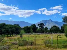 Blue Mountain Farm Lodge, Cabins & Cottages