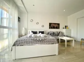 Riscal 6 by United Renters