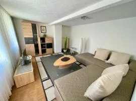 Apartment Rosa