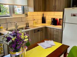 Flower House in Koropi-near airport，位于科洛皮奥的酒店