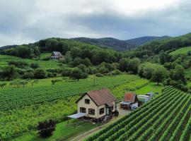 DANDELION Bed & Breakfast，位于希伯维列的酒店