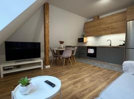 Apartament 2 Willa Bellevue，位于Rabka-Zdroj的酒店