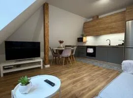 Apartament 2 Willa Bellevue